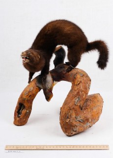 ПКМ-ОФ-80/1