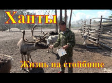 Музейный киносеанс