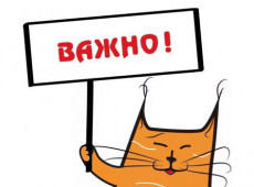 Приглашаем на экскурсии!