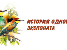 История одного экспоната