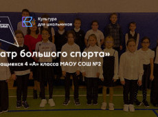 Спортивно-развлекательное мероприятие «Театр большого спорта»