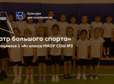 Спортивно-развлекательное мероприятие «Театр большого спорта»