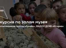 Экскурсия по залам в МАУ «Краеведческий музей»
