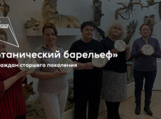 Мастер-класс «Ботанический барельеф»