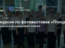 Экскурсия по фотовыставке «Птицы»